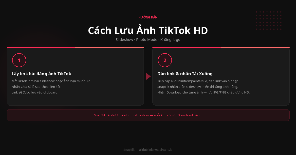 Snaptik lưu ảnh tiktok